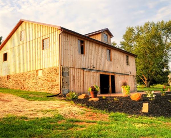 Vineyards of Mary's Meadow