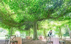 Meditation Garden & Bamboo Garden