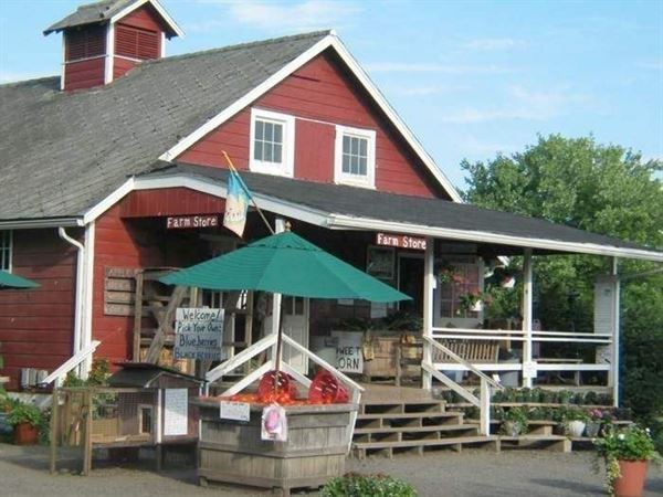 Terhune Orchards