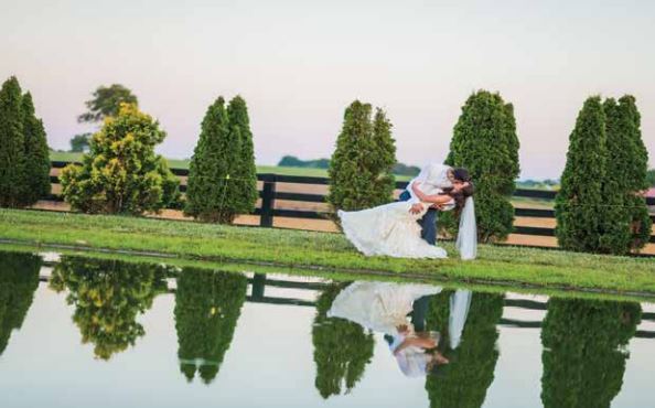 Prodigy Vineyards & Winery