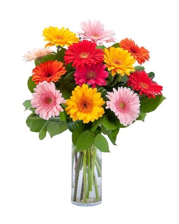 Myrtle Florist & Flower Delivery