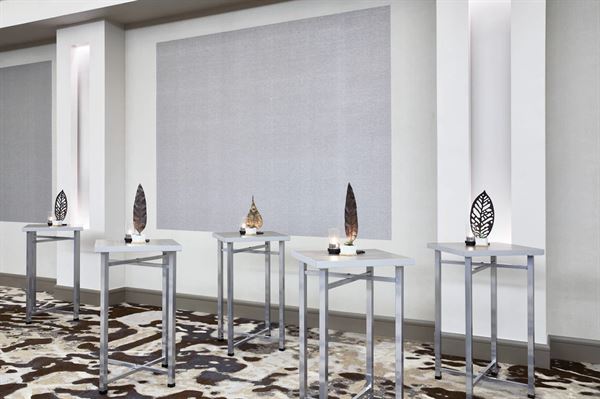 AC Hotel by Marriott Houston Downtown