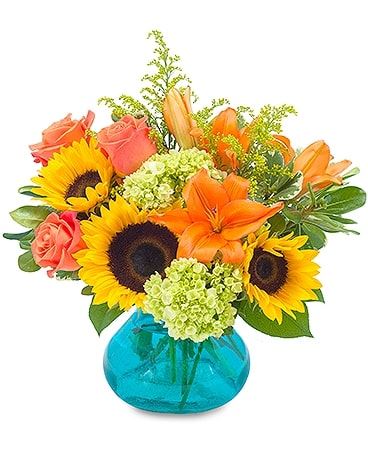 Plantation Florist Floral Promotions & Flower Delivery