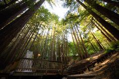 Kennolyn - Stone Creek Village