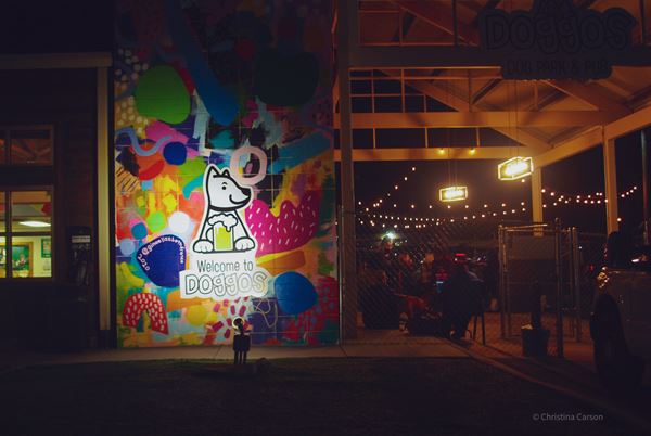 Doggos Dog Park and Pub