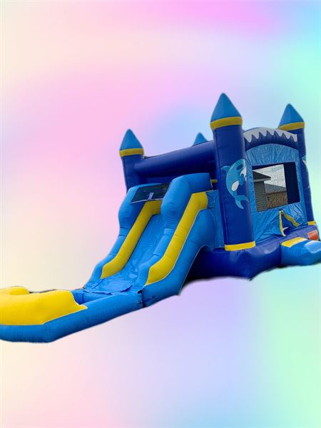 MVRide'z Party Rentals