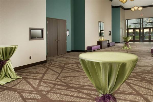 Hilton Garden Inn College Station