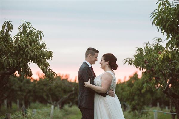 Belkin Family Lookout Farm
