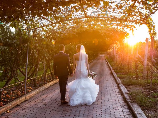 Belkin Family Lookout Farm