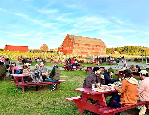 Belkin Family Lookout Farm