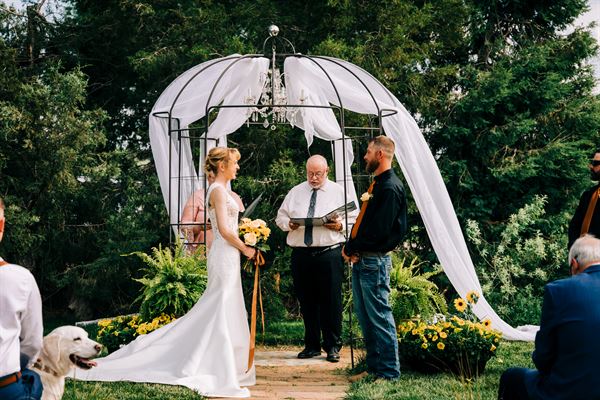 Pine Cone Avenue Social