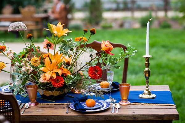 Pine Cone Avenue Social