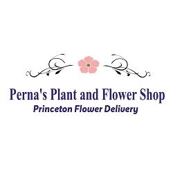 Perna's Plant and Flower Shop - Princeton Flower Delivery