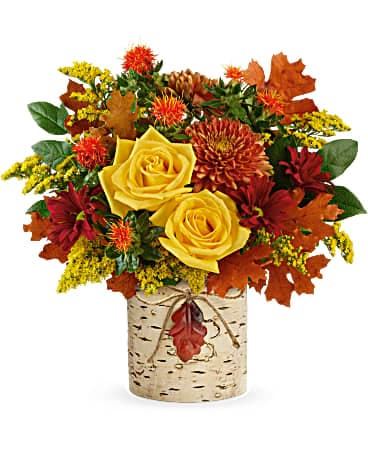 Perna's Plant and Flower Shop - Princeton Flower Delivery