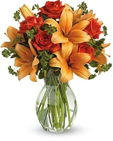 Perna's Plant and Flower Shop - Princeton Flower Delivery