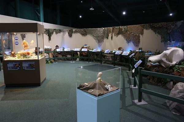 Virginia Living Museum