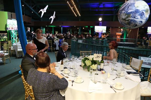 Virginia Living Museum