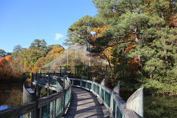 Virginia Living Museum