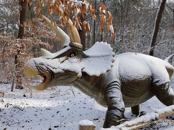 Virginia Living Museum