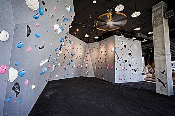 The Collective Seattle