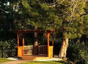 Woodland Wedding Lawn