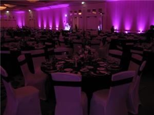 Great Entertainment Only