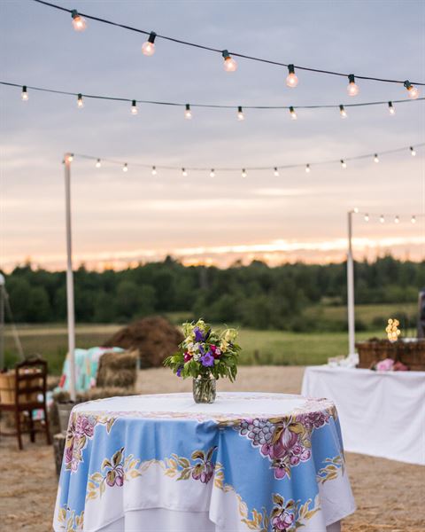 “The Barn” at David's Folly Farm