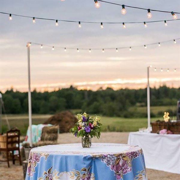 “The Barn” at David's Folly Farm