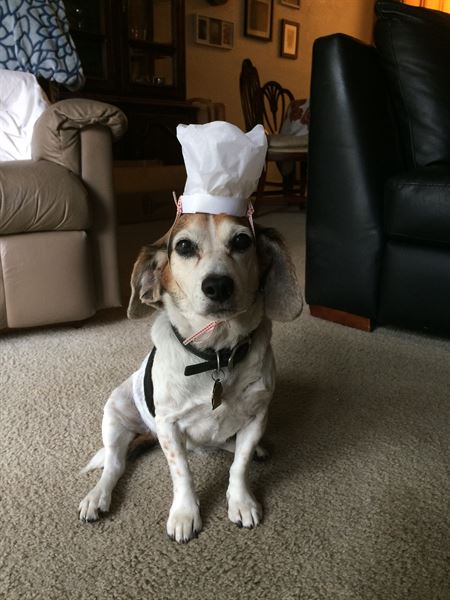 Simply Satisfied Catering