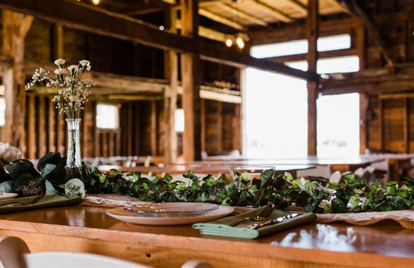 Vista of Maine Vineyard & Cidery