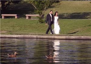 Albert Tabibian - Videography