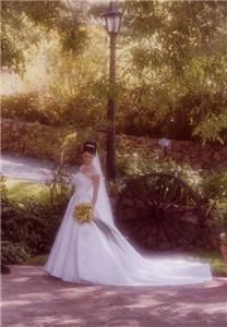 Albert Tabibian - Videography