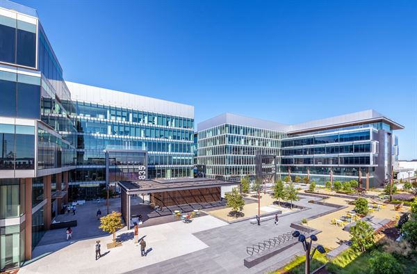 The Alexandria at San Carlos