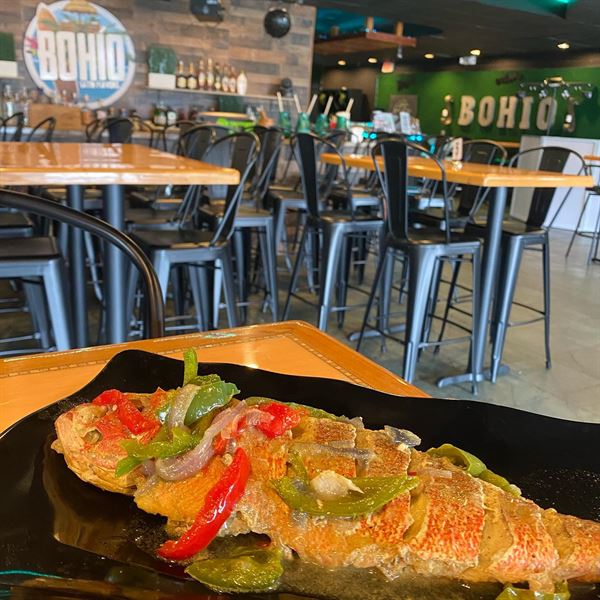 Bohio Latin Flavors