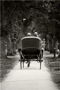 photographybyabi.net