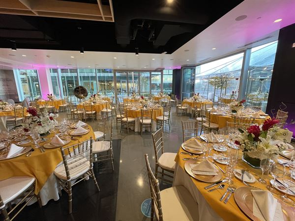 The Alexandria at San Carlos