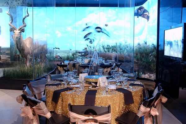 Houston Museum of Natural Science at Sugar Land