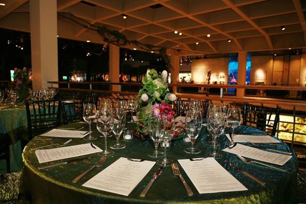 Houston Museum of Natural Science at Sugar Land