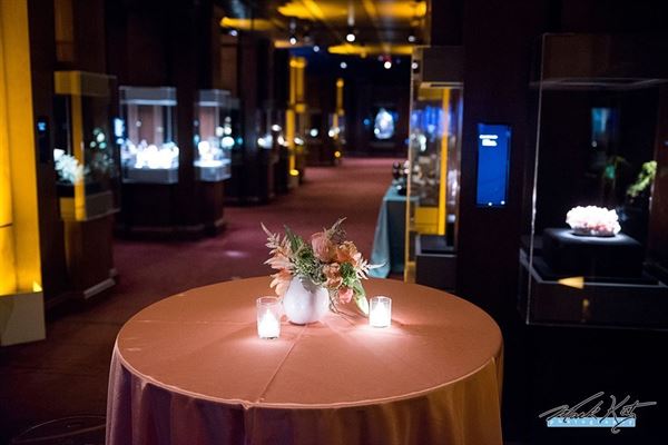 Houston Museum of Natural Science at Sugar Land