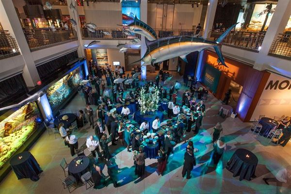 Houston Museum of Natural Science at Sugar Land