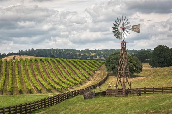 Rancho Victoria Weddings