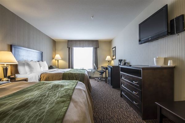 Comfort Inn & Suites Surrey