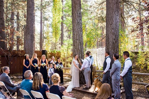 Revive Coffee & Wine