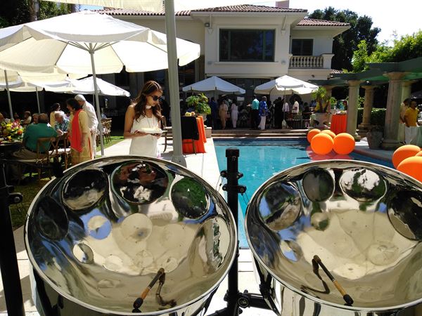 Chris Arpad Solo Steel Drummer