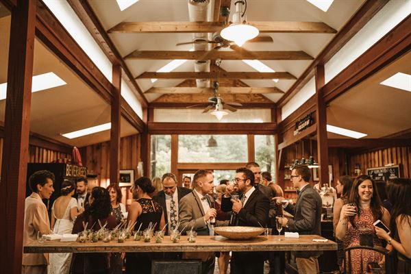 Chisholm Vineyards at Adventure Farm