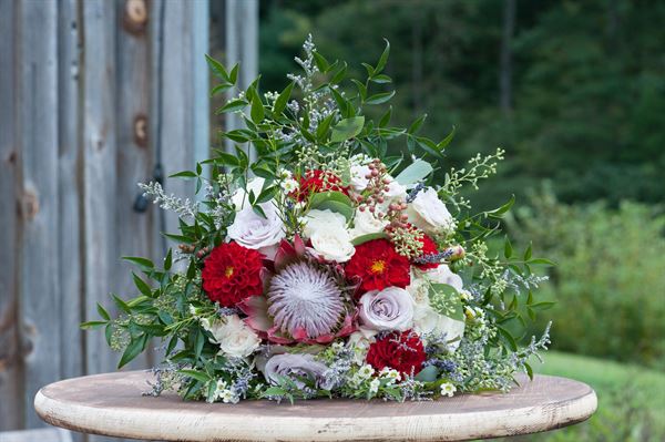 Chisholm Vineyards at Adventure Farm