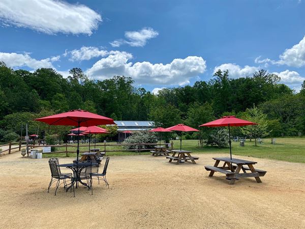 Chisholm Vineyards at Adventure Farm