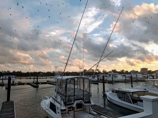 The Oyster Farm Event Venue, Seafood Eatery and Marina