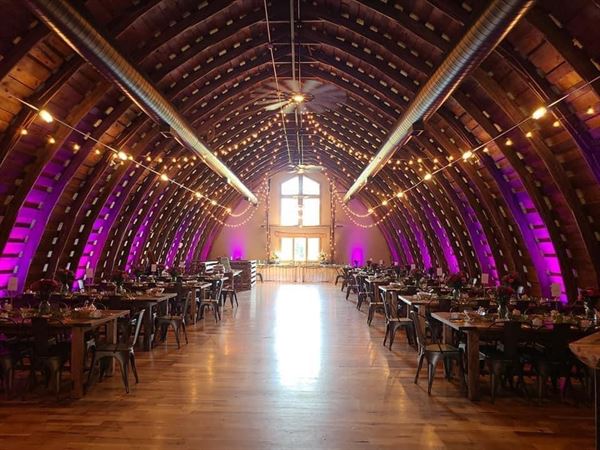 Doctor D DJ Wedding and Events