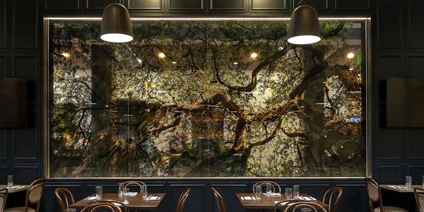 Hotel Indigo Savannah Historic District